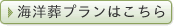 海洋葬プラン